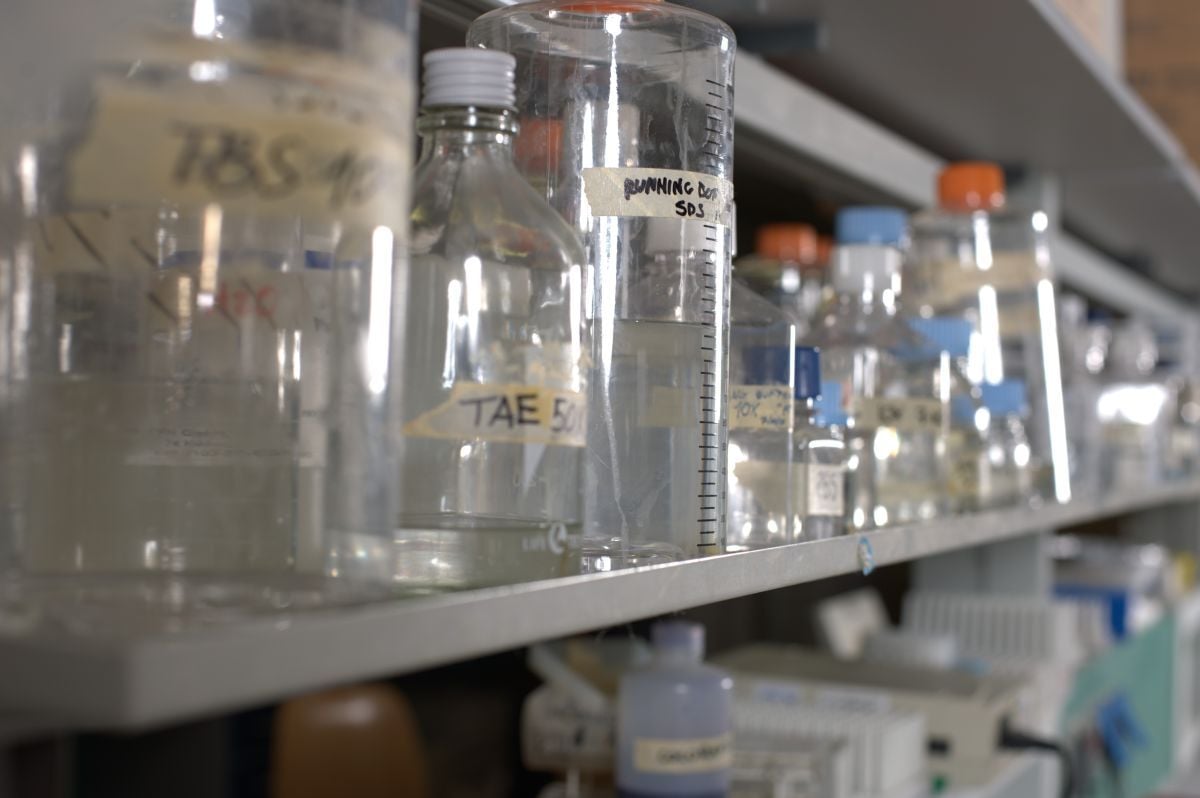 6-formazione-medicina.traslazionale-1