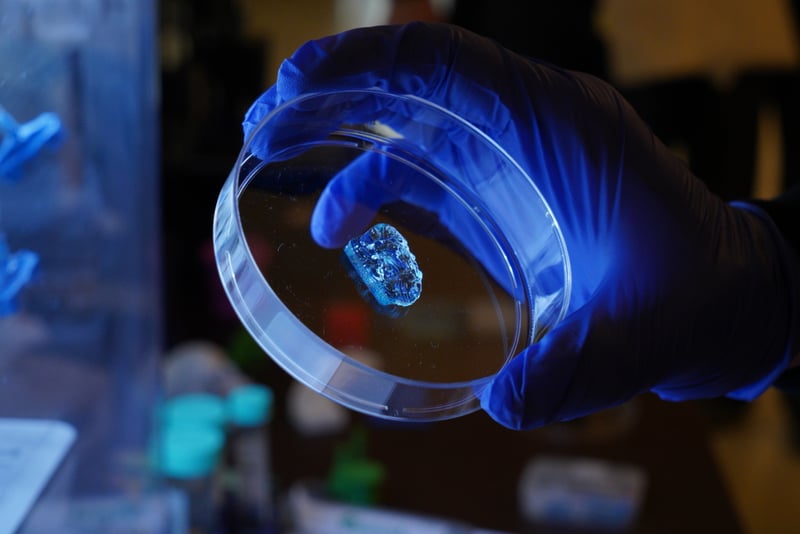 Biotecnologie_Magistrale_Ricerca_Medicina_UniSR (2)