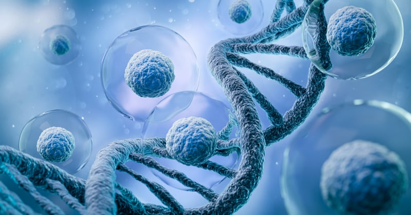 Francesca_Ferrua_ricerca_UniSR_terapia_genica (1)