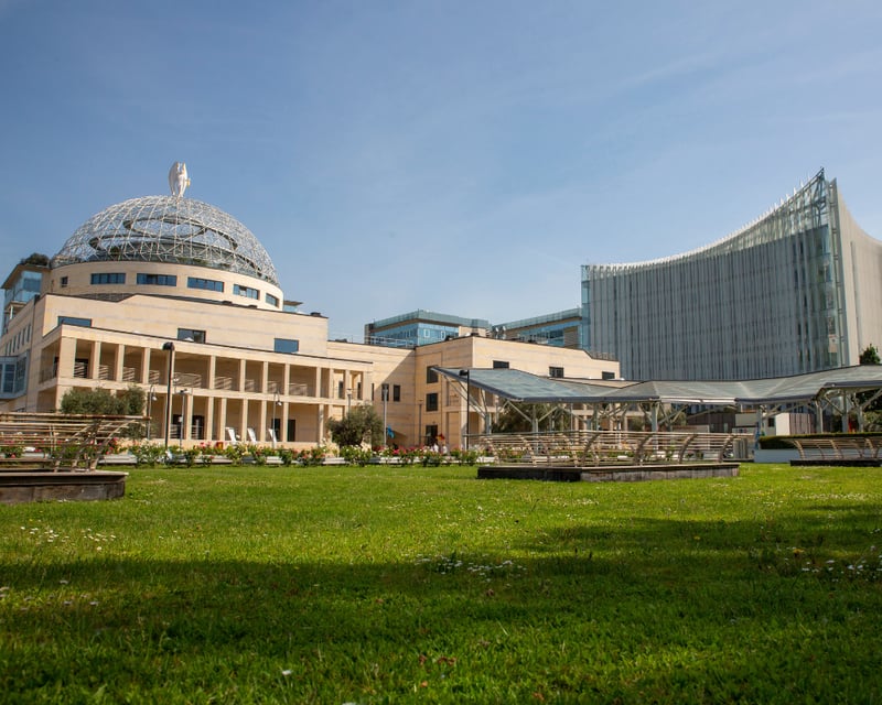 Francesca_Ferrua_ricerca_UniSR_terapia_genica (2)