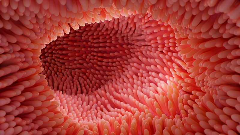 Probiotici_benessere_intestino_alimentazione_UniSR (2)