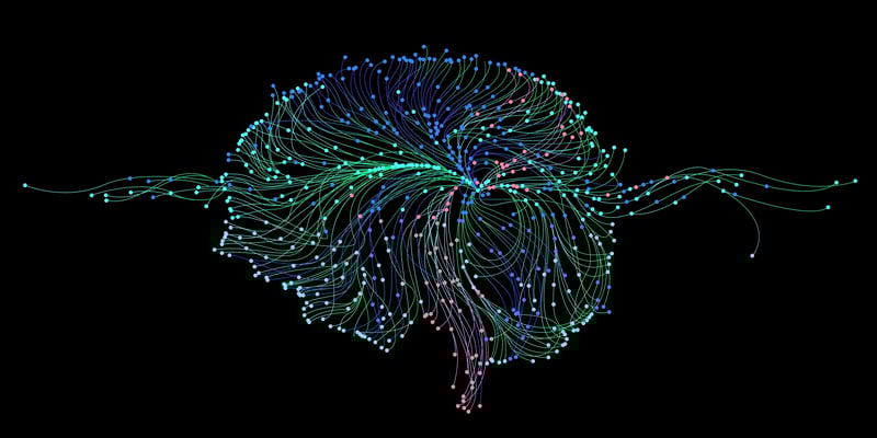 San_Valentino_film_lingua_originale_doppiati_cervello_neuroscienze_UniSR (3)