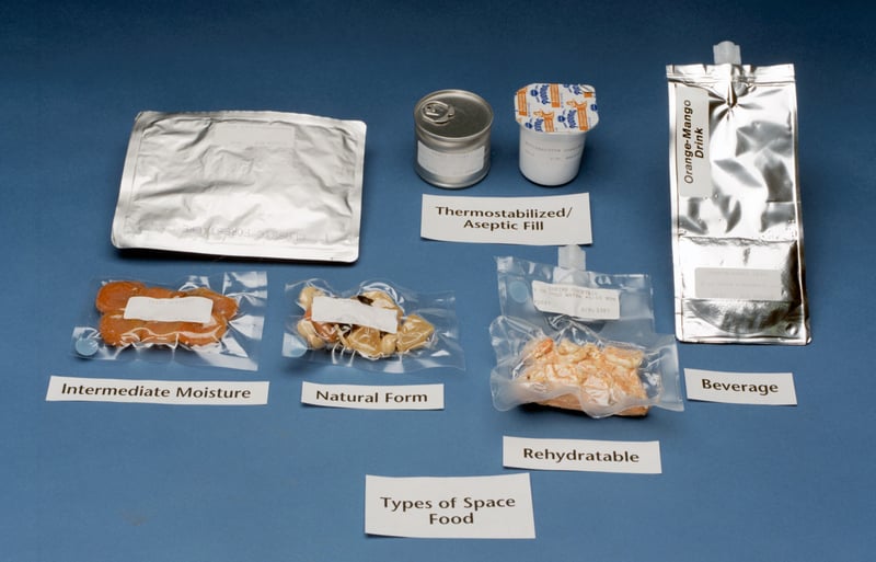 Siamo_fatti_per_lo_spazio_studio_NASA_gemelli_astronauti_UniSR_5