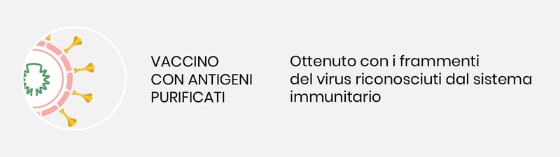 Strategie_per_sviluppo_vaccini_UniSR_vaccino-antigeni