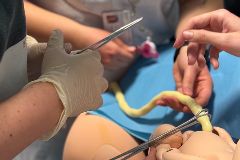 Ostetricia_formazione_pratica_assistenza_ostetrica_SanRaffaele_UniSR (5)