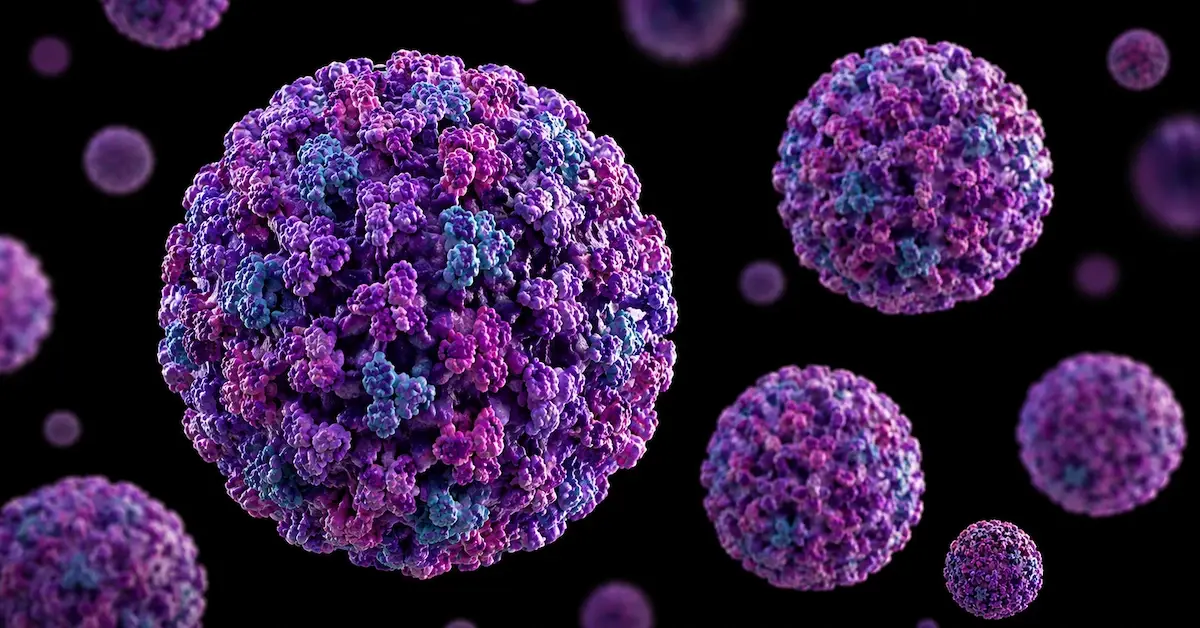 Hantavirus Andes: trasmissione, sintomi e cure 