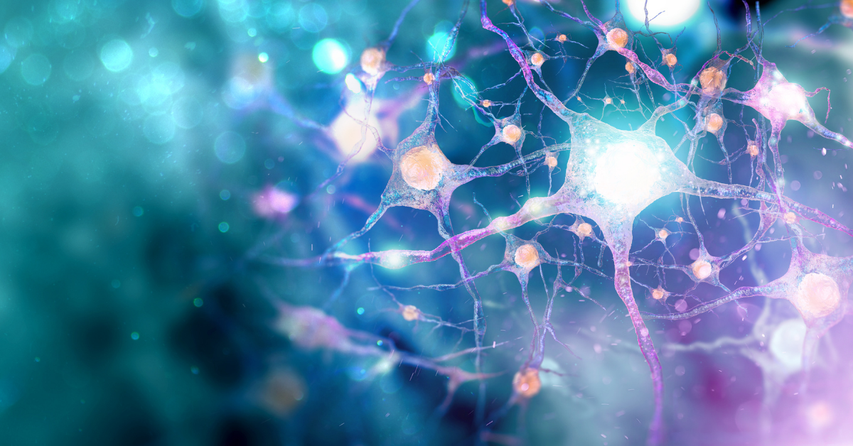 ALS, the motor neuron disease, between research and new therapies