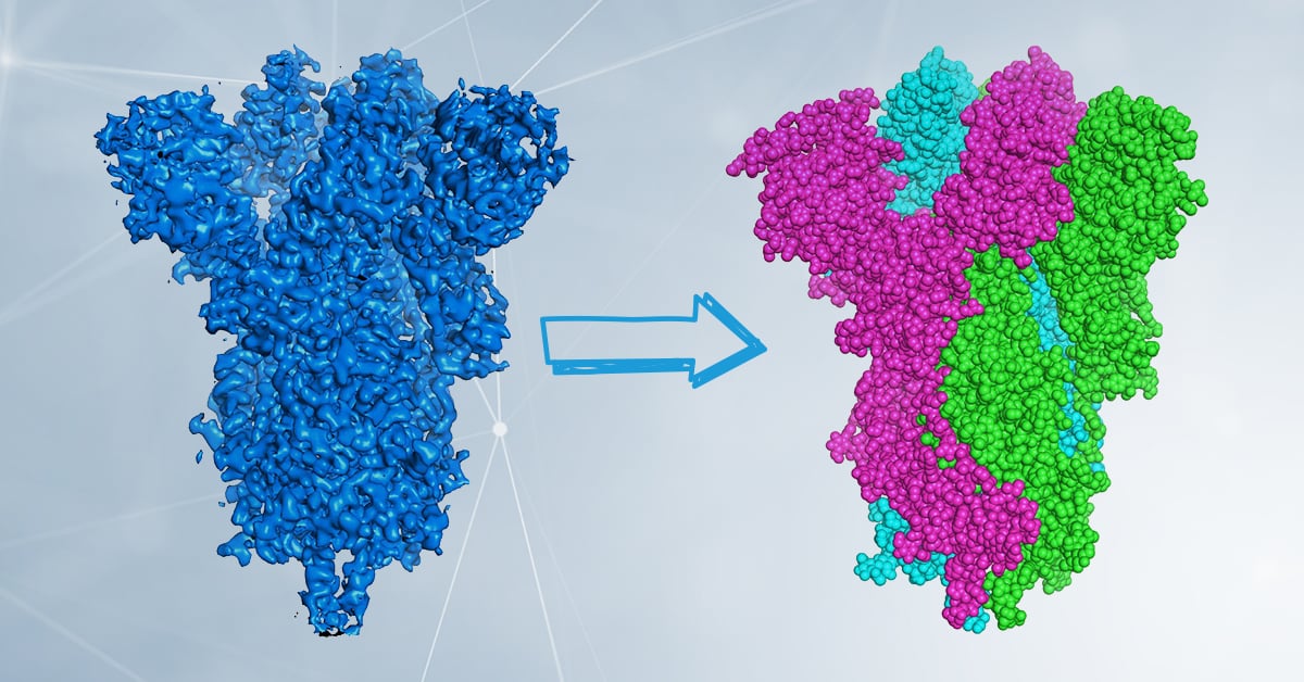 Cryo-EM: small electrons for large molecules
