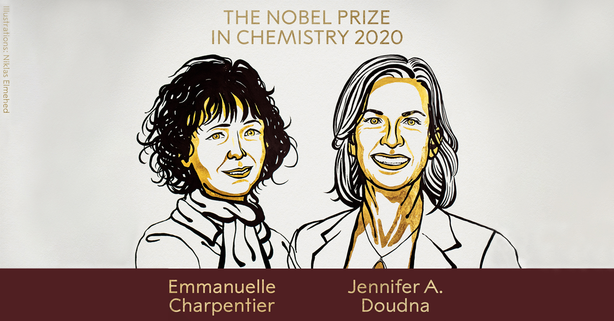 The “female” Nobel Prize: a step to bridge the gender gap?